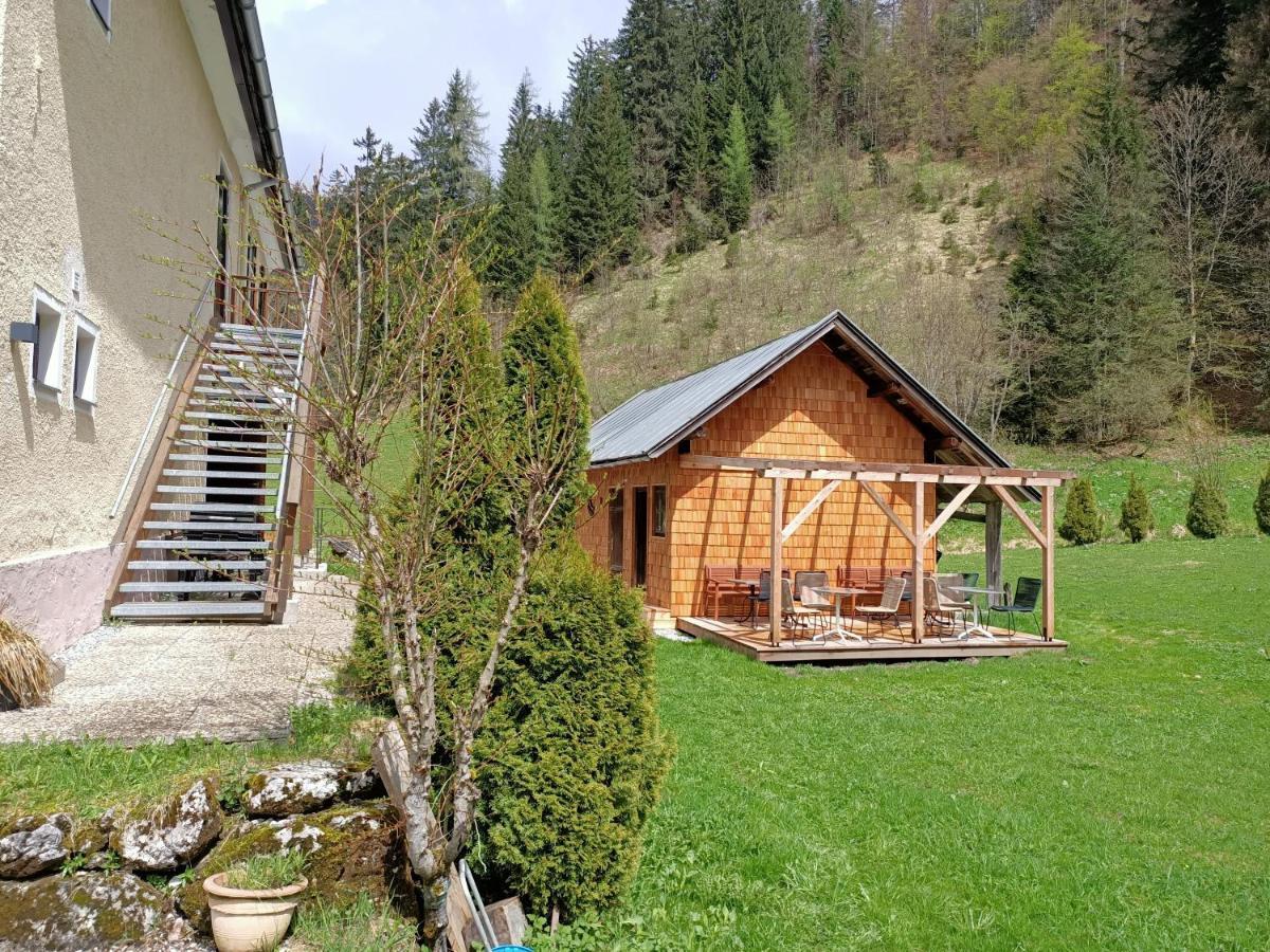 Appartements Bergheim Hirschbuhel エクステリア 写真